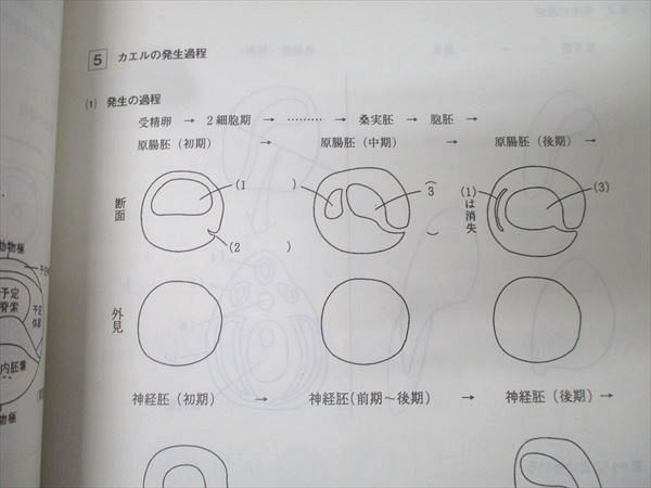 代々木ゼミナール 代ゼミ 大堀求編【単元別】高校生物 Vol.1〜8 生命と分子・代謝/生態系・進化と系統等 計8冊 033M0D 代々木ゼミナール 代ゼミ 大堀求編【単元別】高校生物 Vol.1〜8