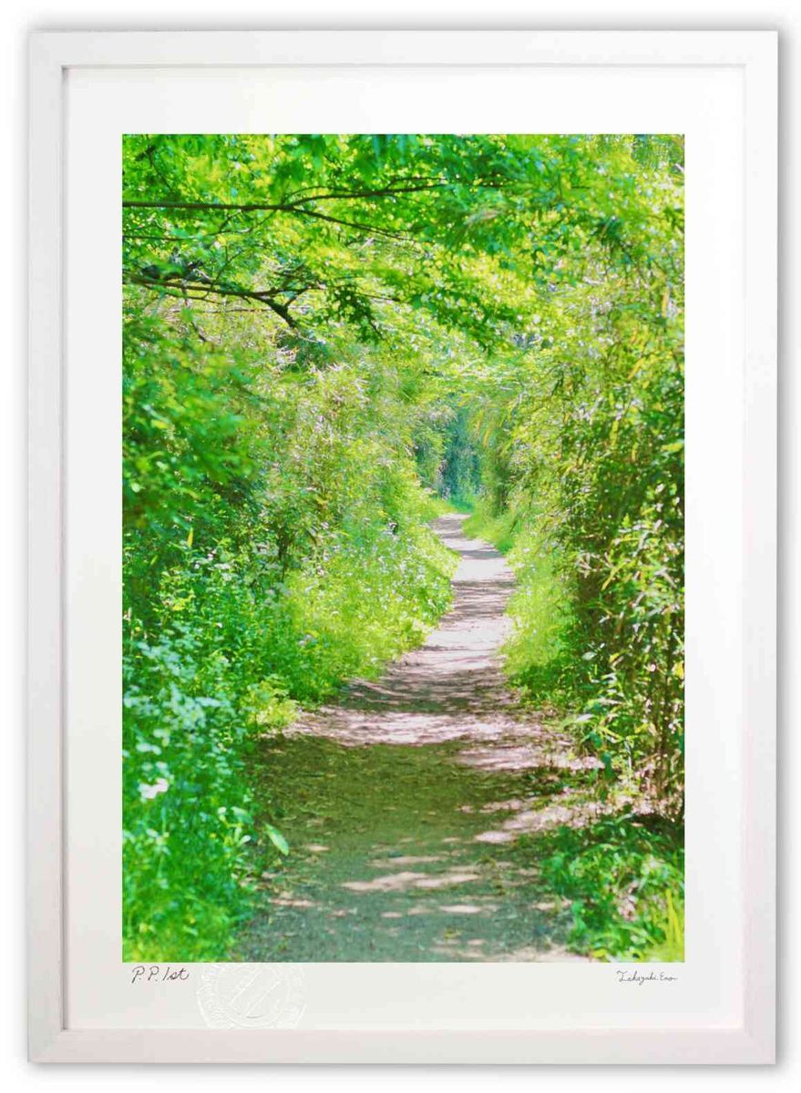 本鼈甲 螺鈿蒔絵 川光作 ブローチ& トップ vintage 螺鈿工芸 伝統