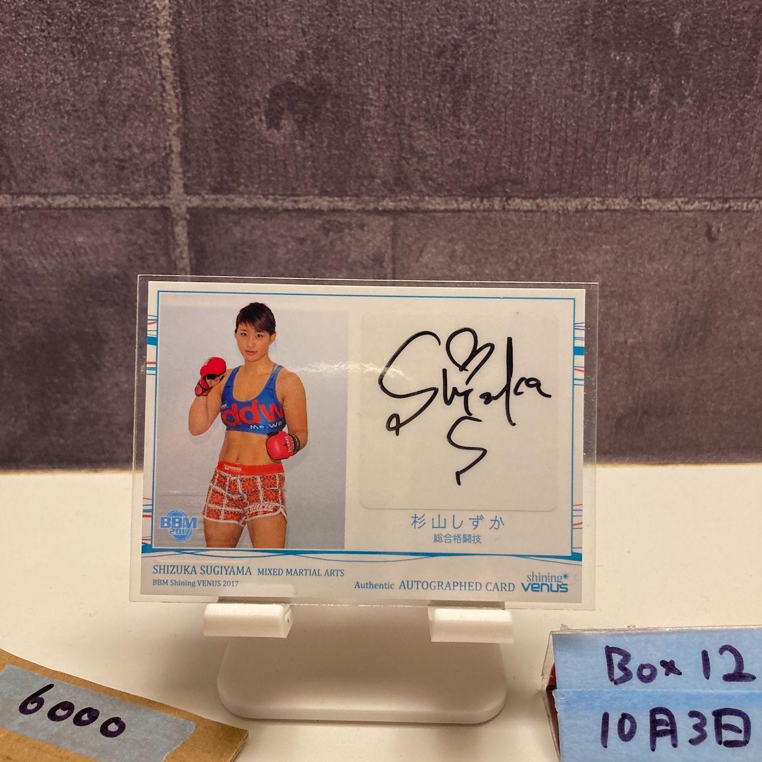 2017 BBM 杉山しずか 025/140 直筆サインカード DDW The Wild