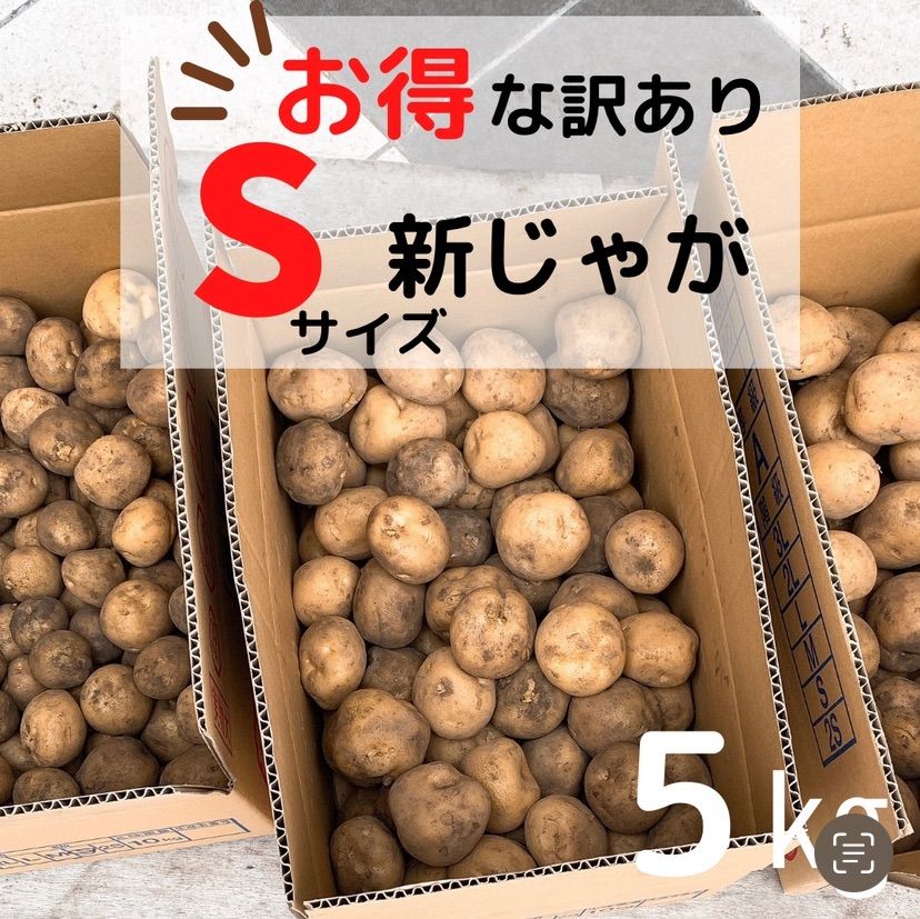 訳ありSサイズじゃがいも☆鹿児島産の新鮮野菜☆5キロ - メルカリ