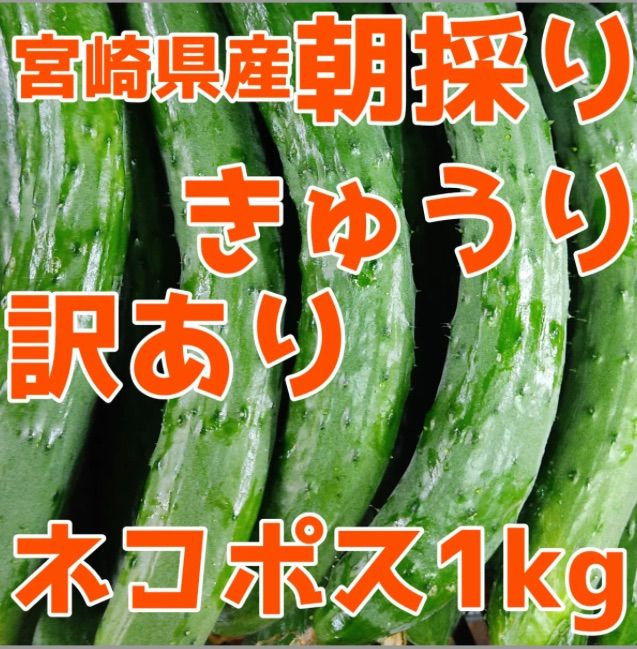 楽天市場】【ふるさと納税】＜【先行予約】【期間限定】宮崎県産