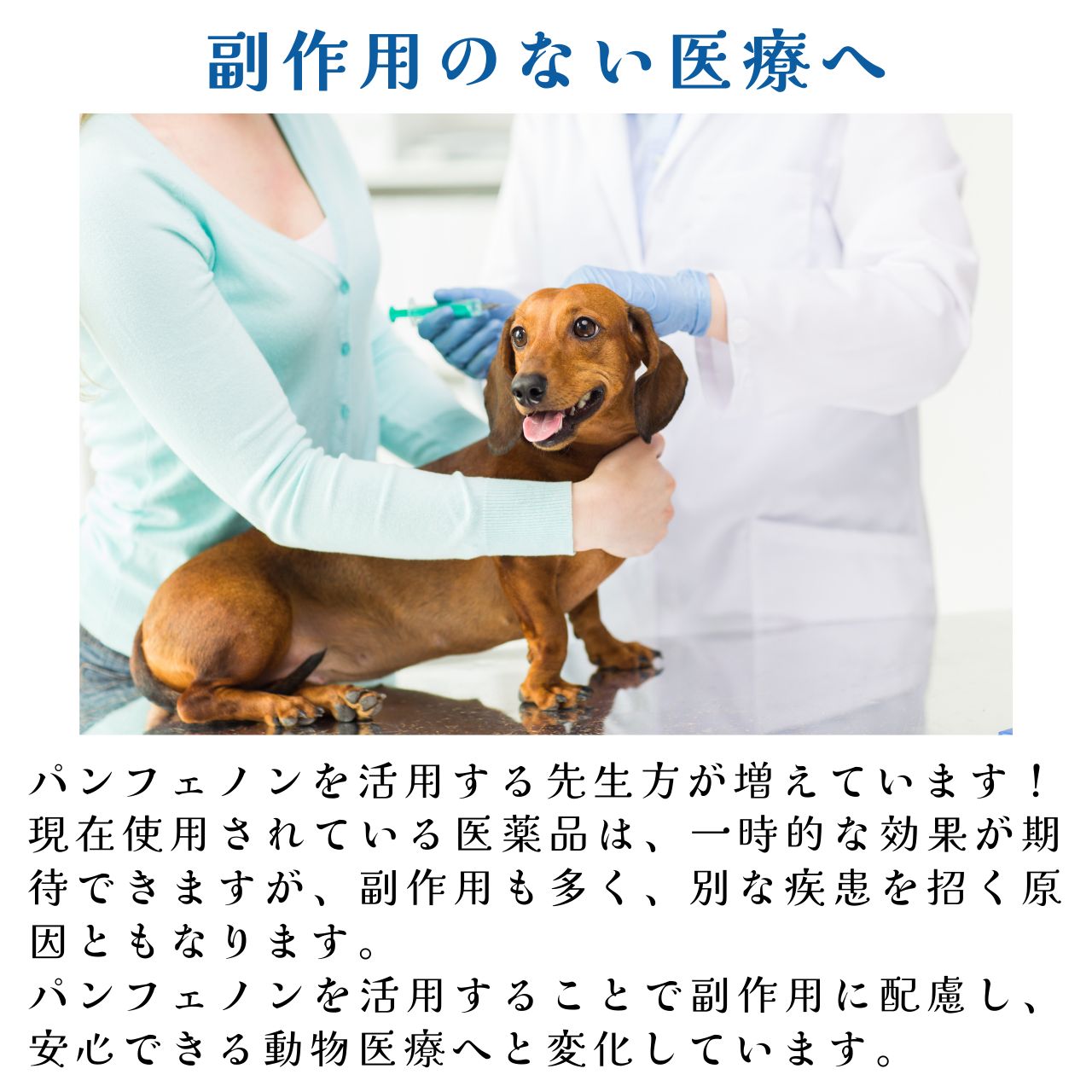 スケアクロウ 抗酸化