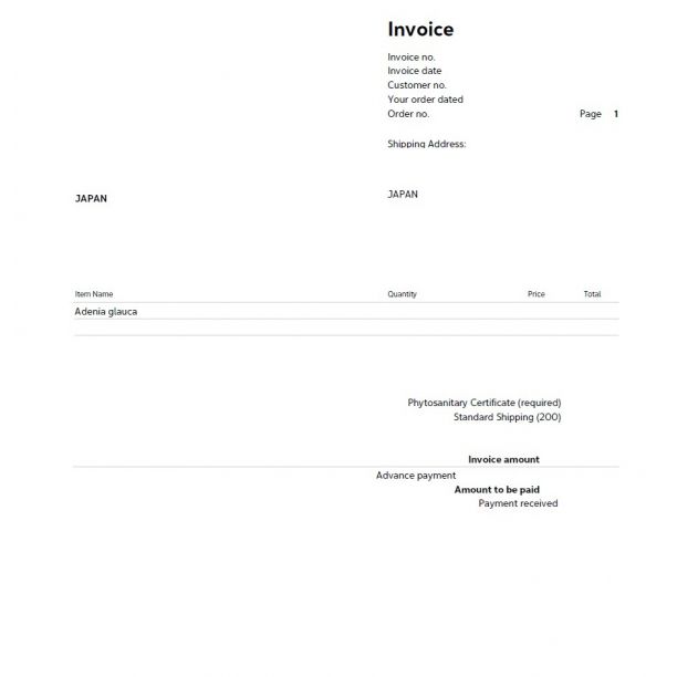 9月入荷 アデニア グラウカ 10粒 種 種子 証明書あり - メルカリ