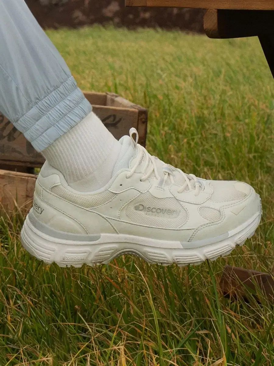 DISCOVERY バケットマウンテンLT 260 250