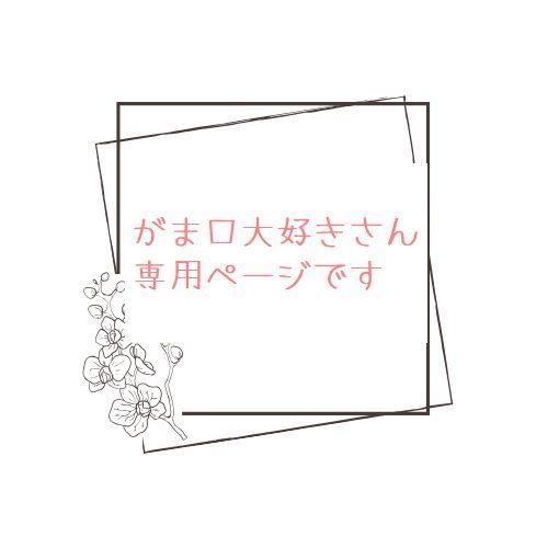 がま口大好きさん専用商品です
