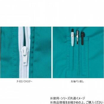 ヤマタカ