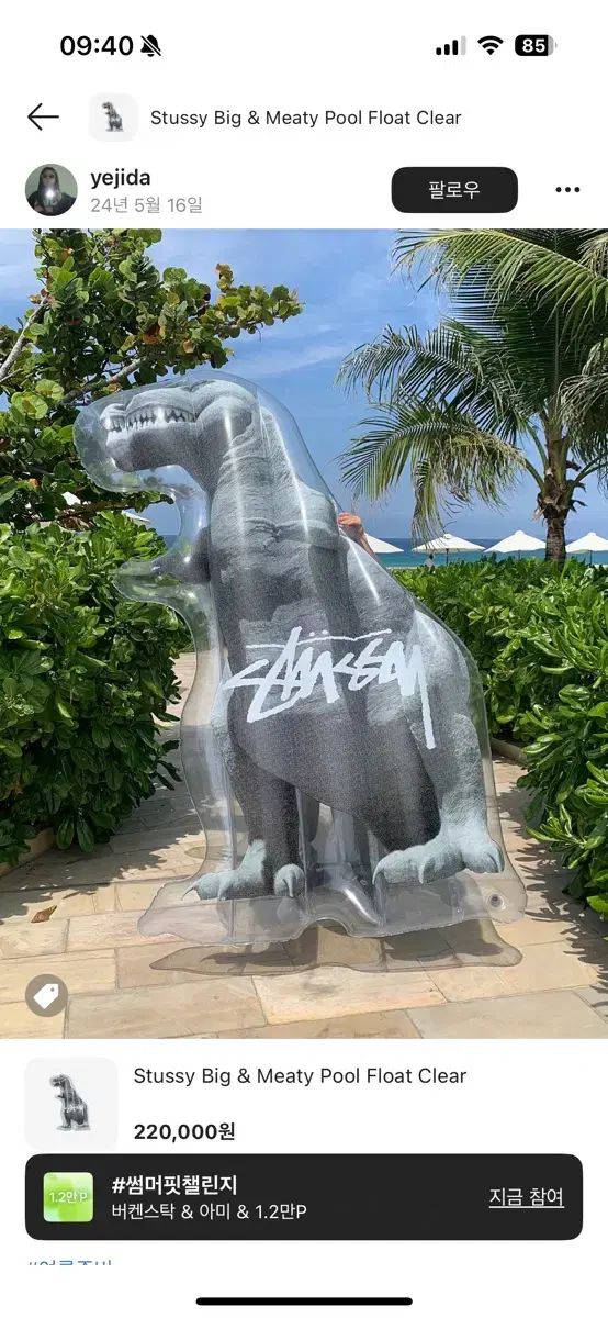 STUSSY(ステューシー) ビッグ・アンド・マイティ フロート 浮き輪 大型