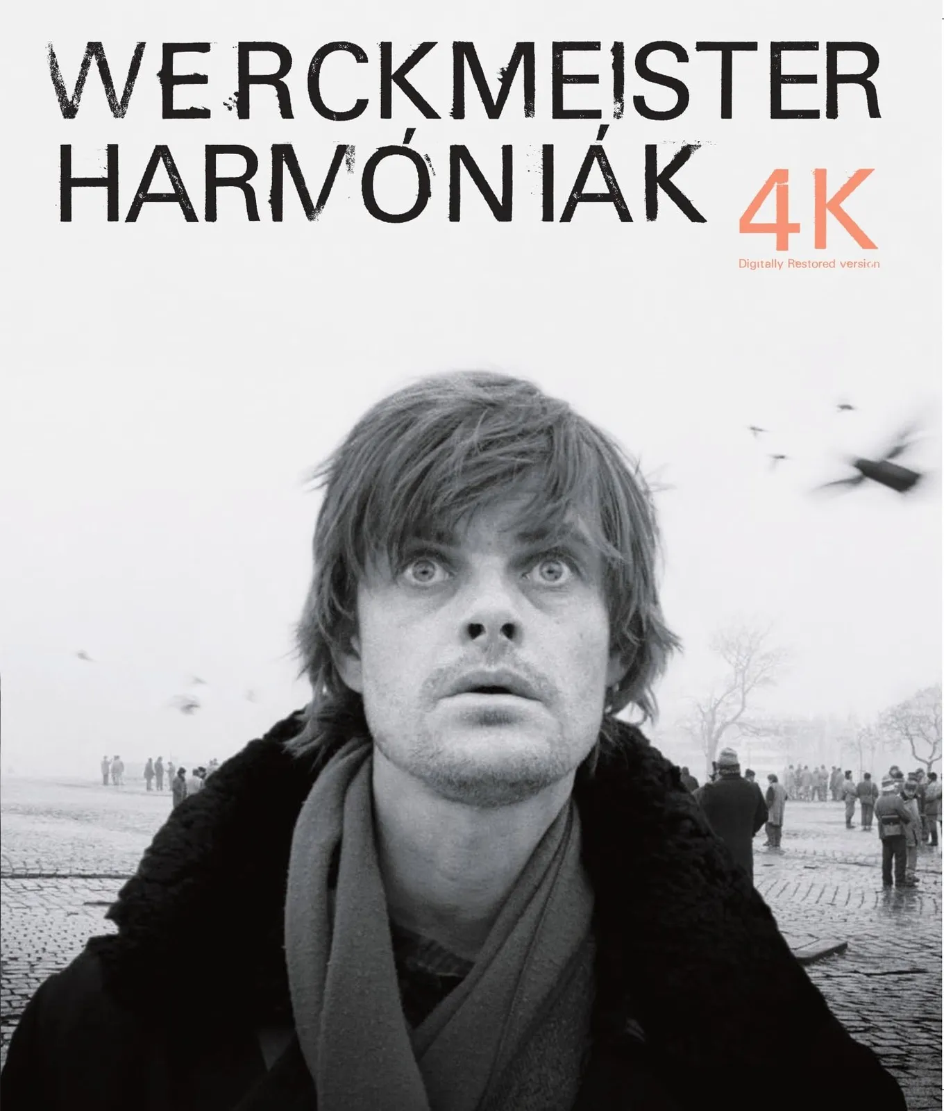 2025年最新】ニーチェの馬の人気アイテム - メルカリ