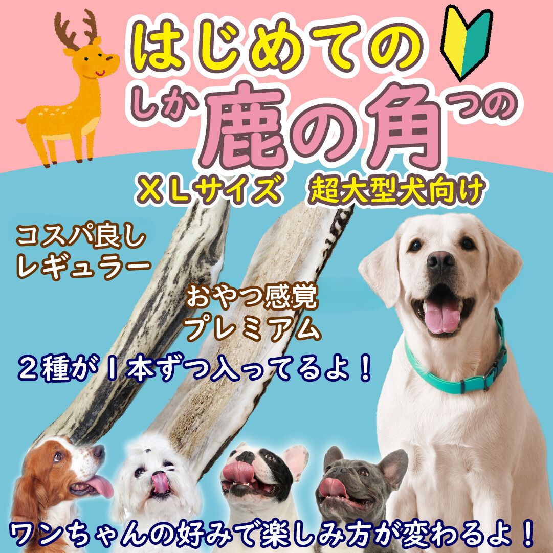 初めての(食べ比べXL各1本)『ガリッとホーン』鹿の角 超大型犬 犬の