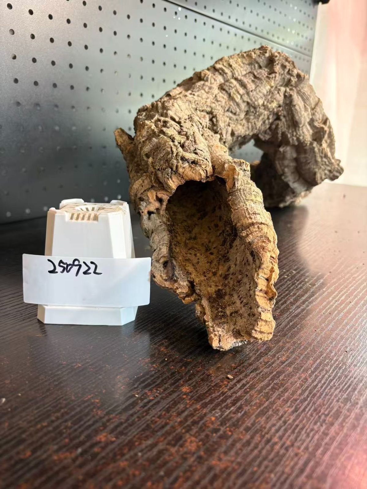 爆安！ 250922 ポルトガル産 キャノンコルク コルク樹皮 コルク板 バージンコルク チランジア ビカクシダ 着生ラン 両生類 爬虫類