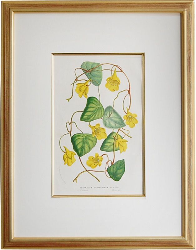 GELATO PIQUE 花柄セミシングルマットレス 123x70cm ベッドリネン