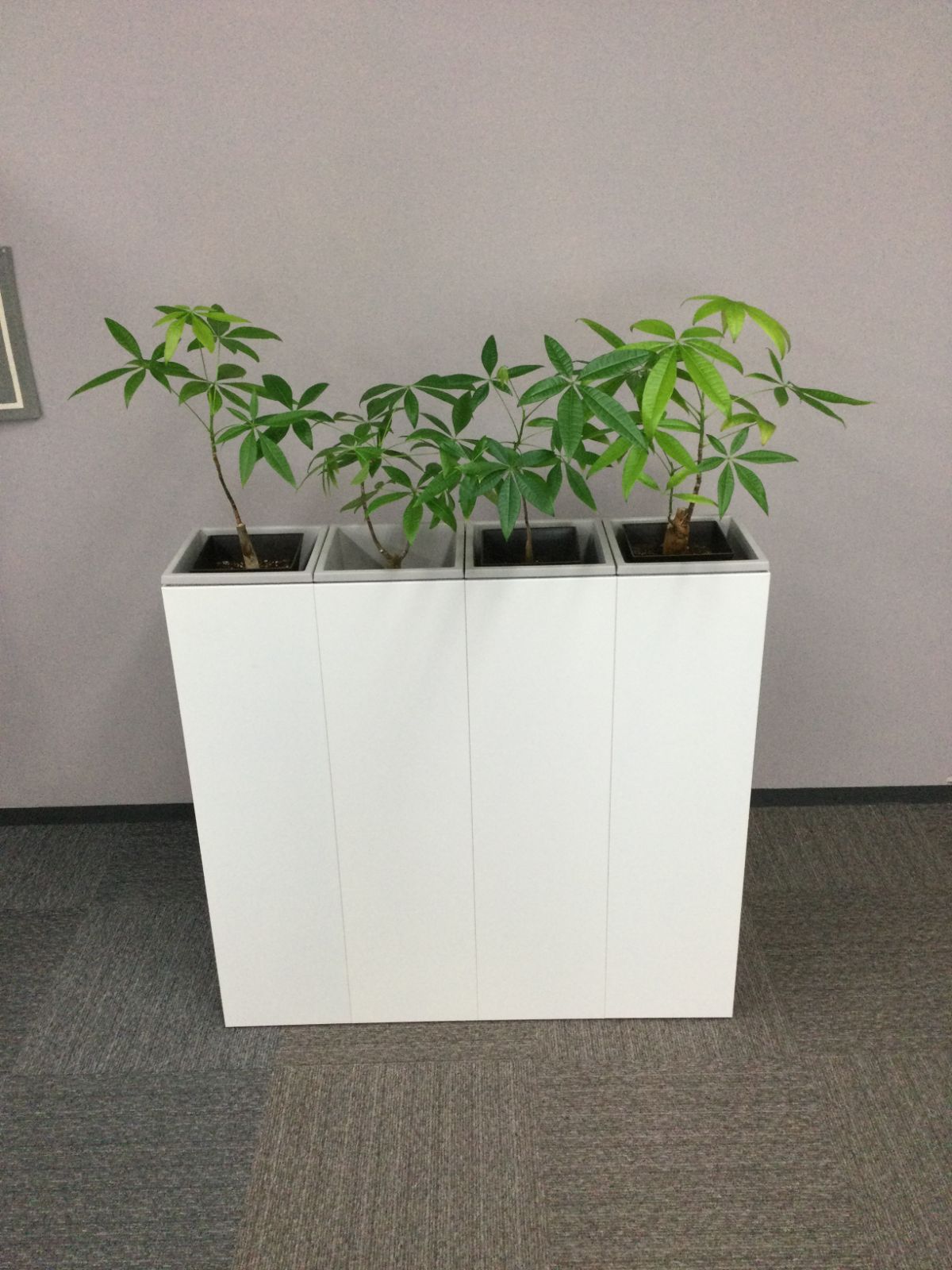 基本引取 複数在庫あり オフィス家具の では ♥◆プランターBOX◆フラワーボックス◆W 1000ｘＤ250ｘＨ965