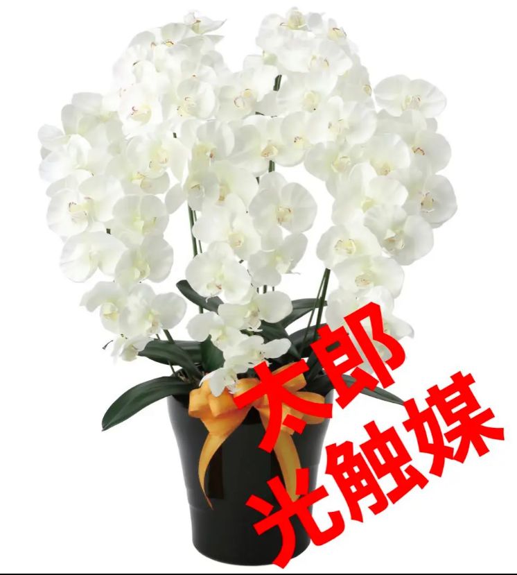 光触媒 人工観葉植物 ウォールグリーン フェイクグリーン ロイヤル胡蝶