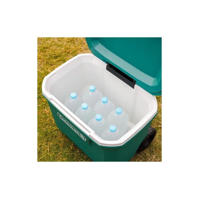 キャリー キャンプ