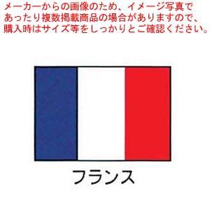 エクスラン万国旗 70×105cm フランス