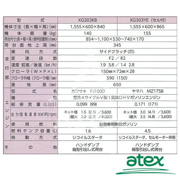 セル付