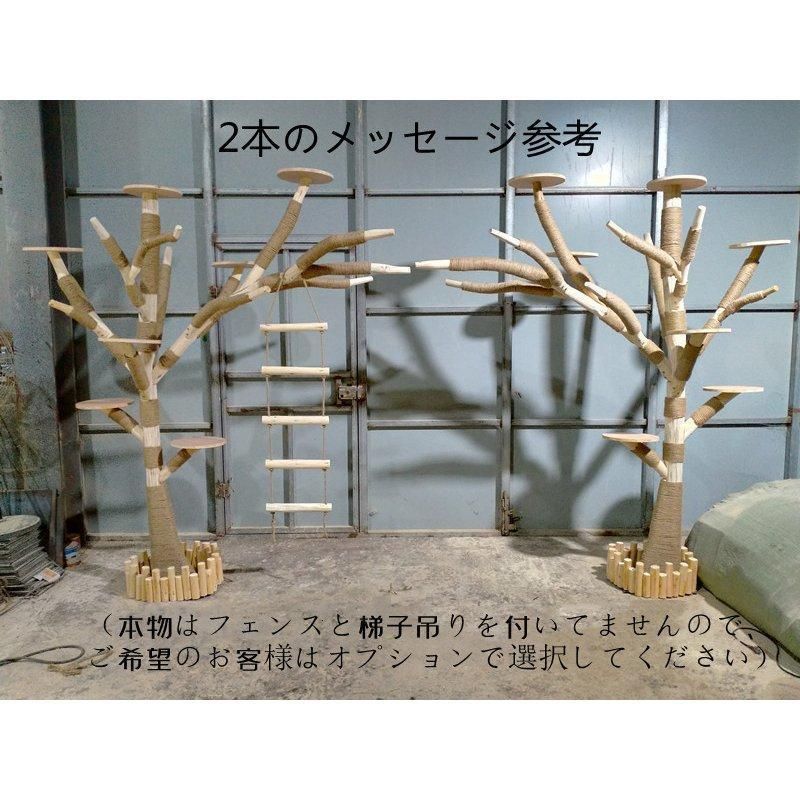 高1メートル