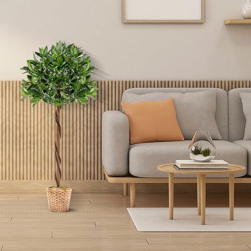 盆栽植物 キンモクセイ185