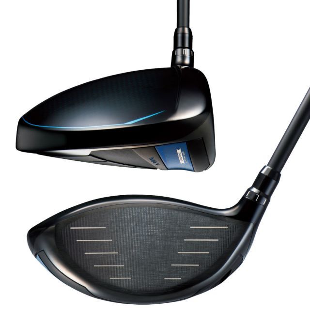 2月入荷 500粒+ ブラヘア アルマータ 種 種子 証明書 1308 2月入荷 500粒+ ブラヘア アルマータ 種 種子 証明書 1308 2月入荷