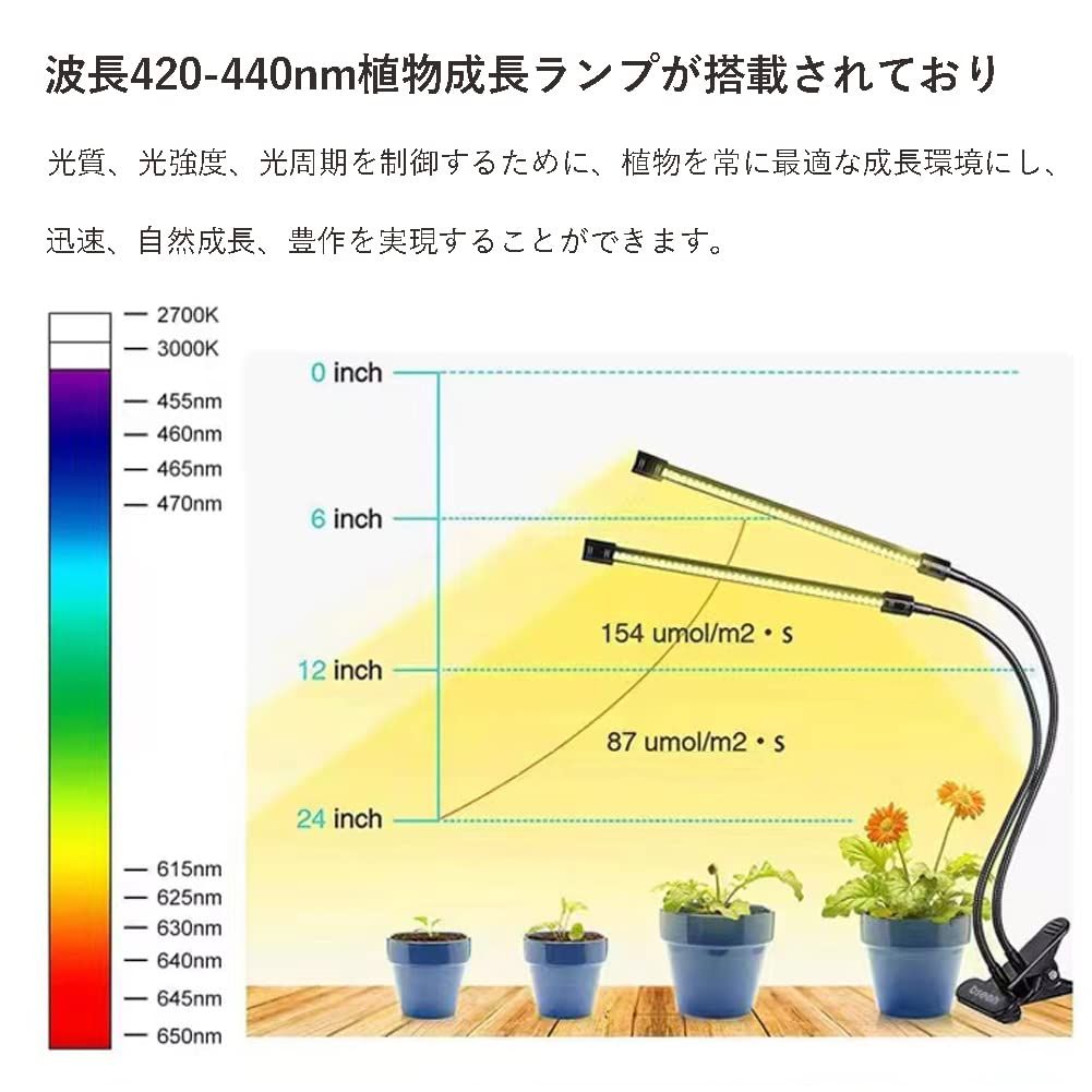 育苗ポット植物育成ライト付き 育苗トレイ 育苗箱 12穴 3個