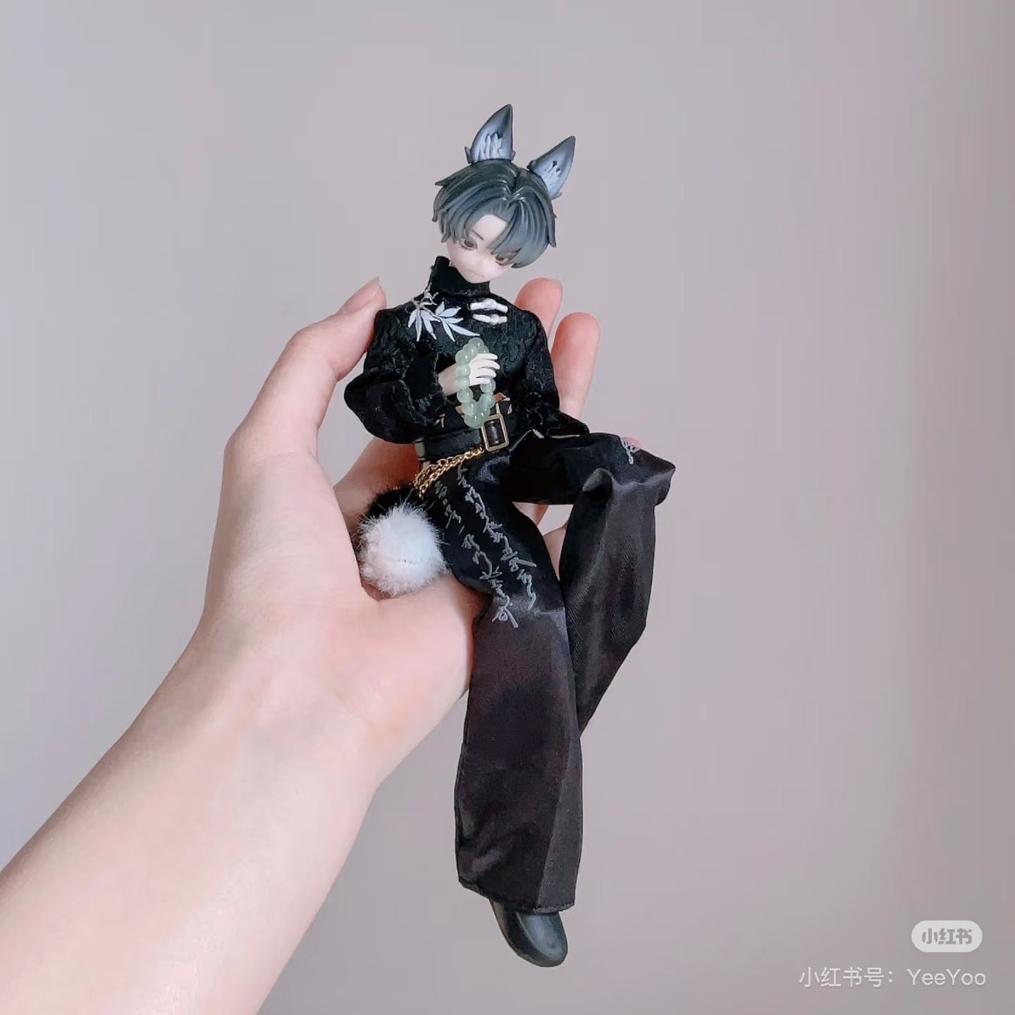 费德里科 边牧犬