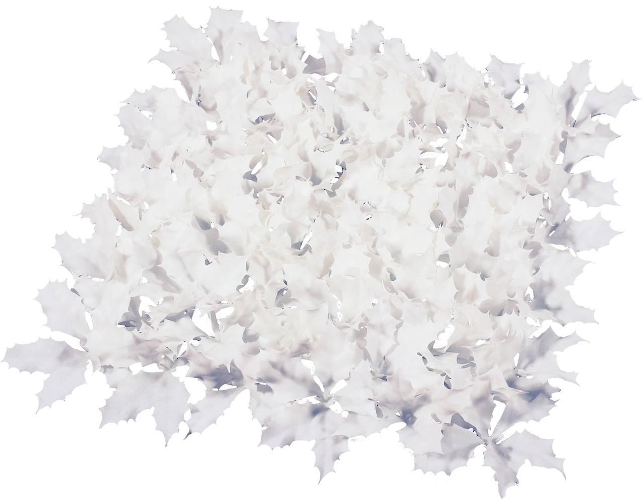 三谷幸江 様 タイガー圧力IHジャー炊きたて土鍋JPL-S100