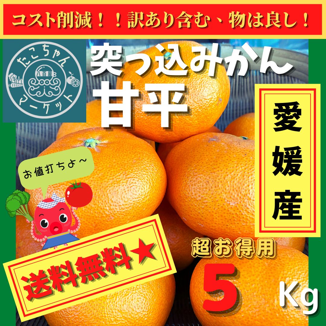 愛媛中島産甘平5キロ家庭用 セール 登場から人気沸騰 - 果物