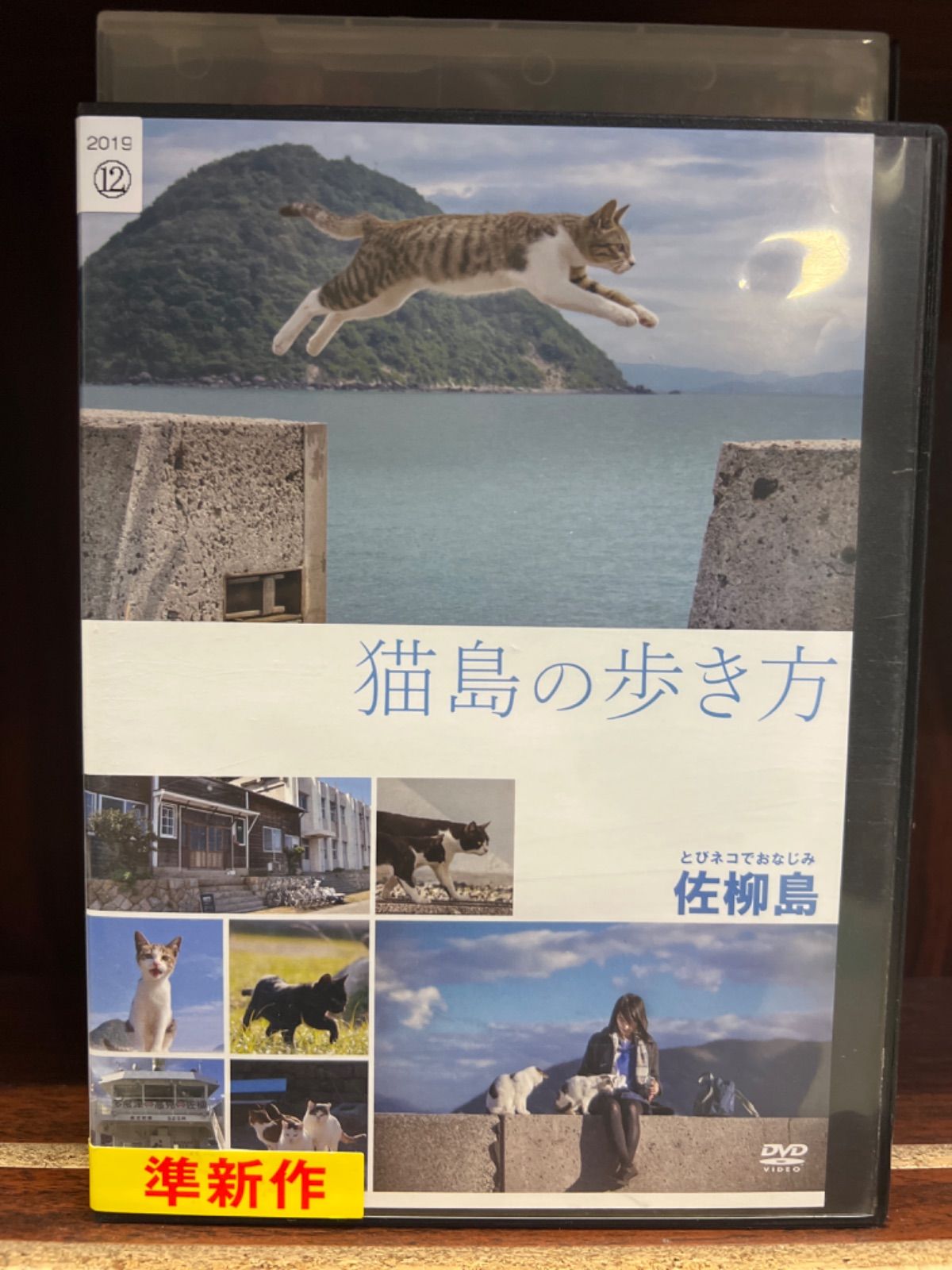猫島の歩き方 ~佐柳島~ [DVD] 【大注目】 - 邦画・日本映画
