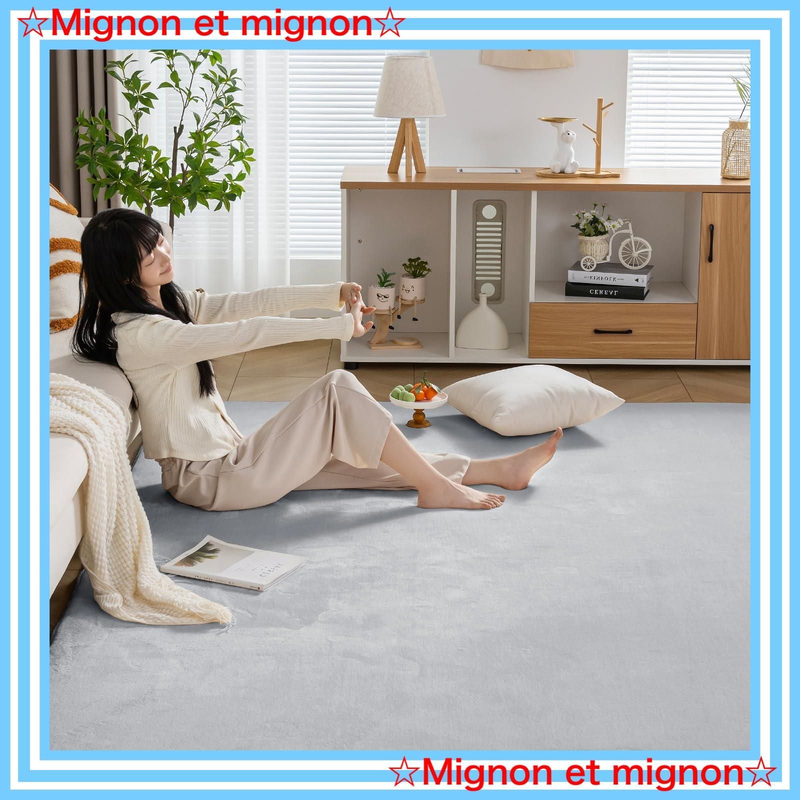 ZETA DIVISION VARCITY RUG MAT ZETA DIVISION MAR.2023 ITEMS – ZETA