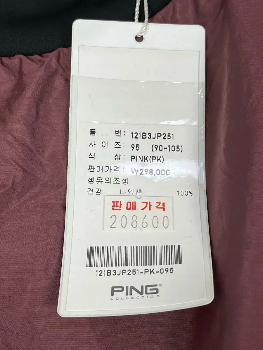 Ping 機能性