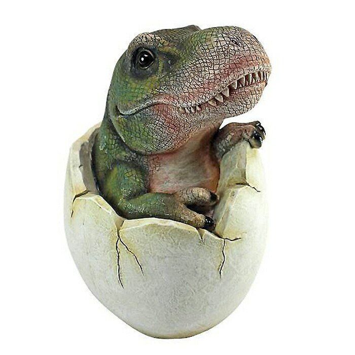 恐竜の赤ちゃん 卵から顔を出した ティラノサウルス レックスの