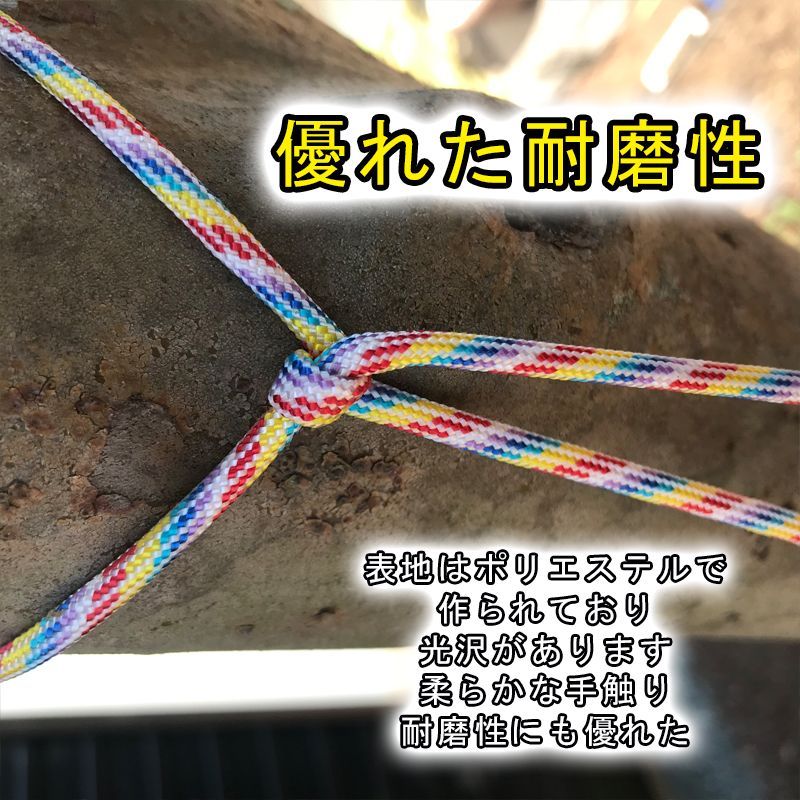 楽天市場】【楽天1位】 パラコード ロープ 耐荷重280kg 4mm 30m