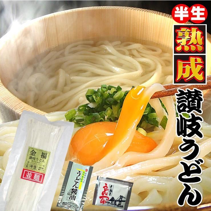 20時間熟成 半生 並麺 讃岐うどん つゆ付きセット 便利な個包装 750g 送料無料　A36
