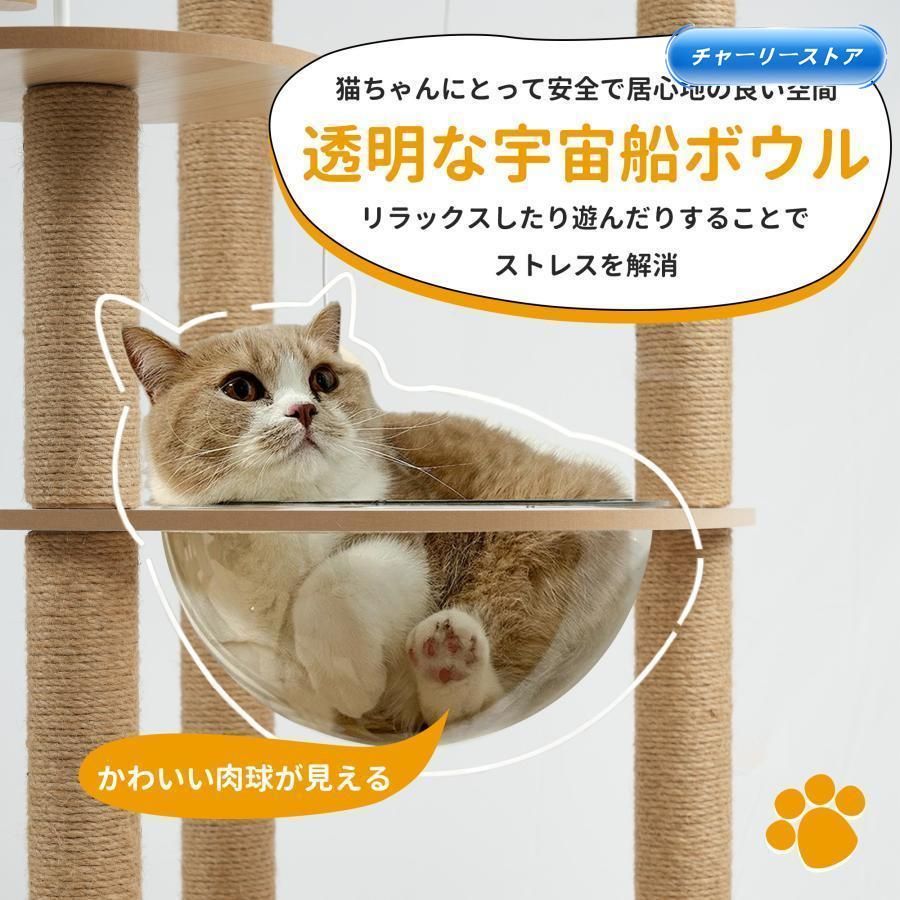シニア