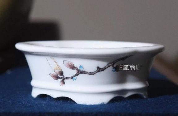 多肉植物鉢 紫砂鉢 盆栽鉢 植木鉢 小品盆栽鉢 大品盆栽鉢 【公式 多肉植物鉢 紫砂鉢 盆栽鉢 植木鉢 小品盆栽鉢 大品盆栽鉢 【公式