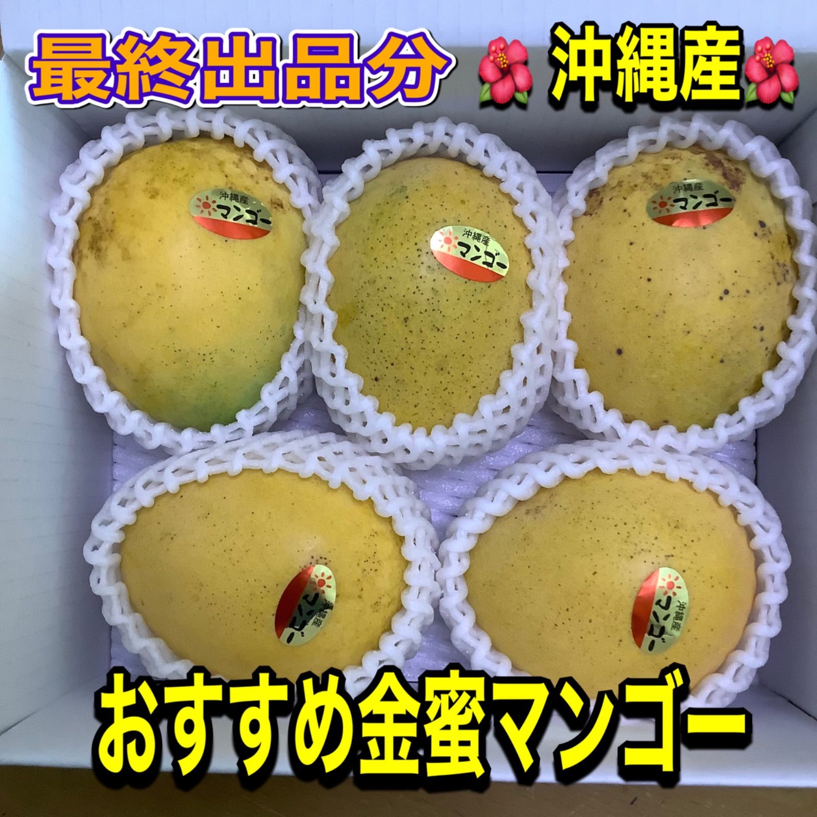 沖縄産おすすめ金蜜マンゴー 9個(約4.2kg)クール発送 沖縄産おすすめ金蜜マンゴー 9個(約4.2kg)クール発送 （沖縄産