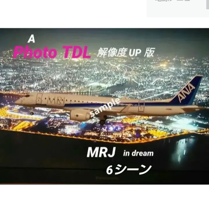 一部予約販売 MRJ/ANA ANA RW MRJ 22 羽田 D - HND ANA 航空機 模型 