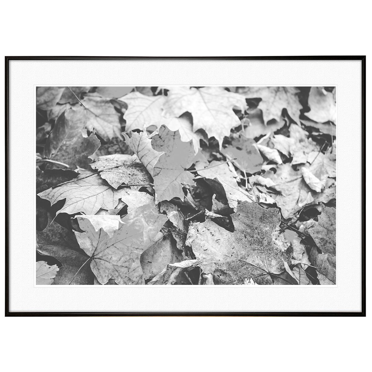 秋写真 紅葉と枯葉 インテリアアートポスターフォト額装 AS0814