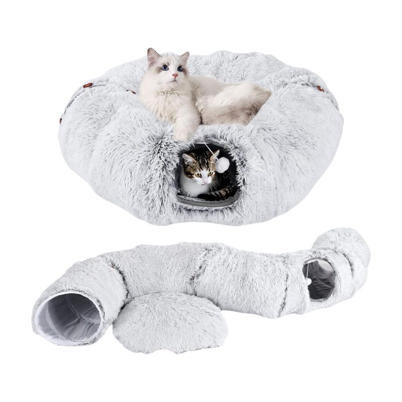 極美 希少斑入り モンステラ ボルシギアナ アルボ 現物出品 大株 美斑