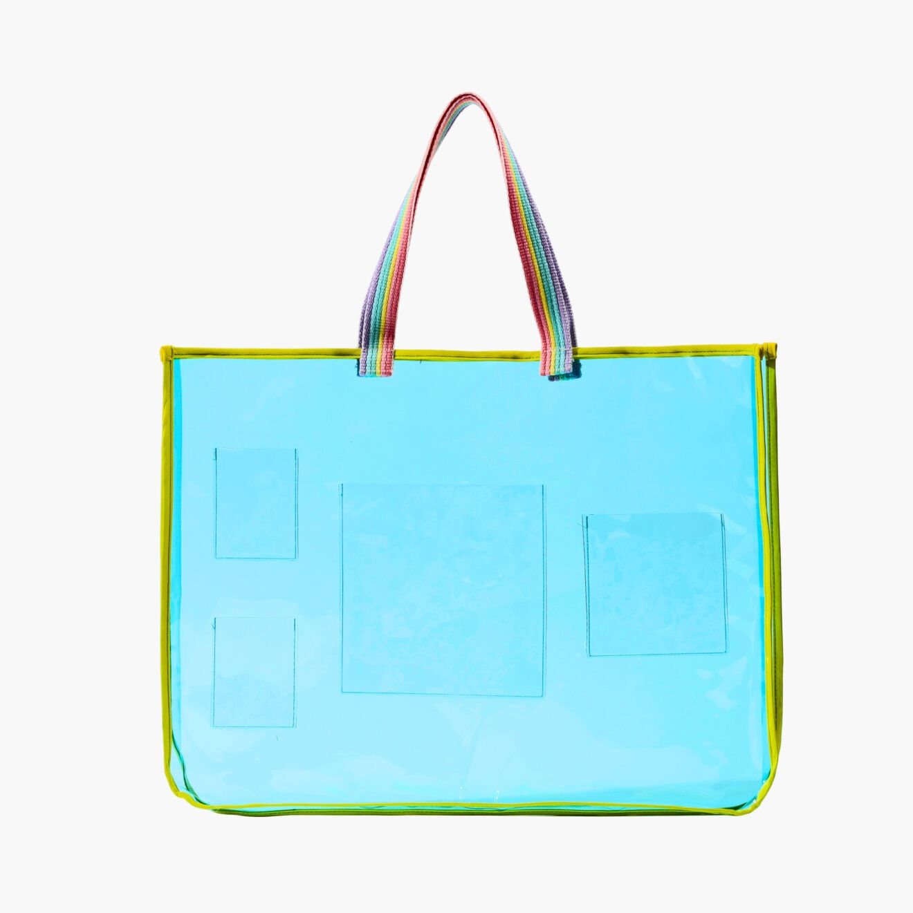 フェレットウサギ齧歯類: 内科と外科の臨床 長谷川 篤彦? 板垣