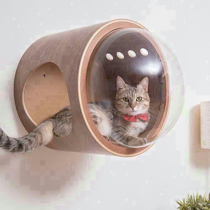 猫 階段 キャットウォーク 3段式 落下防止柵付き 安心素材 ペット用家具 多頭飼い対応 コンパクト 爪とぎ min