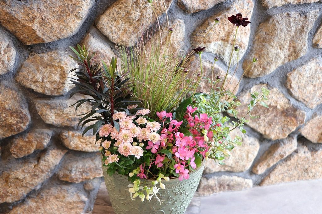 当店オリジナル