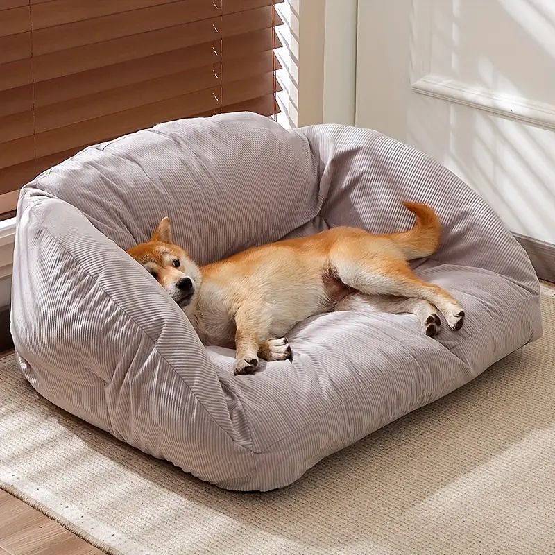 大型犬 小型猫