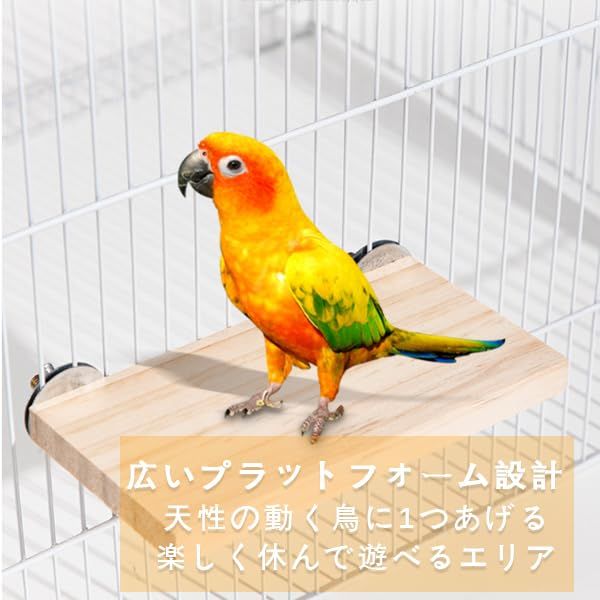 オウムスタンド&ミニスタンド止まり木セット オウムスタンド&止まり木セット オウムスタンド&ミニスタンド止まり木