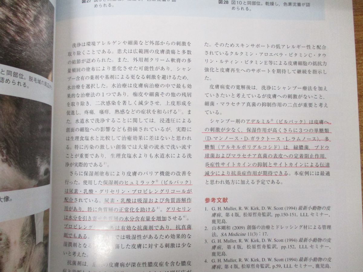 △01)【同梱不可】小動物皮膚科専門誌/ Small Animal Dermatolog