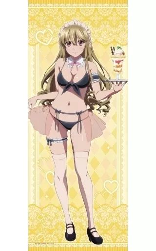 ストライク・ザ・ブラッド 藍羽浅葱 描き下ろし　特大タペストリー 中古】タペストリー 02.藍羽浅葱 描き下ろし等身大タペストリー