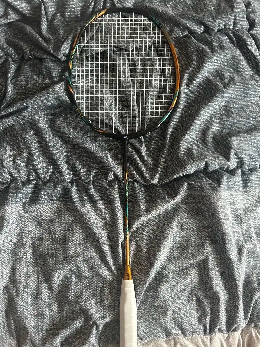 ASTROX アストロクス 88 d pro 2 世帯