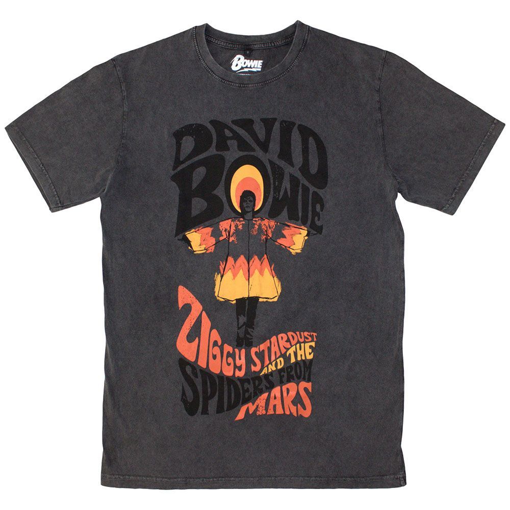 David Bowie Stone Wash T-Shirt : Ziggy Stardust - メルカリ