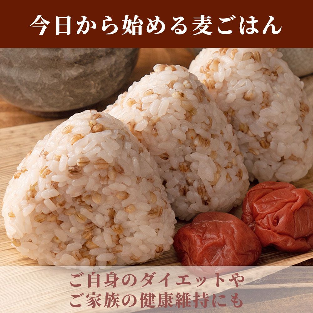 【雑穀米本舗】国産もち麦 450g（ダイシモチ）