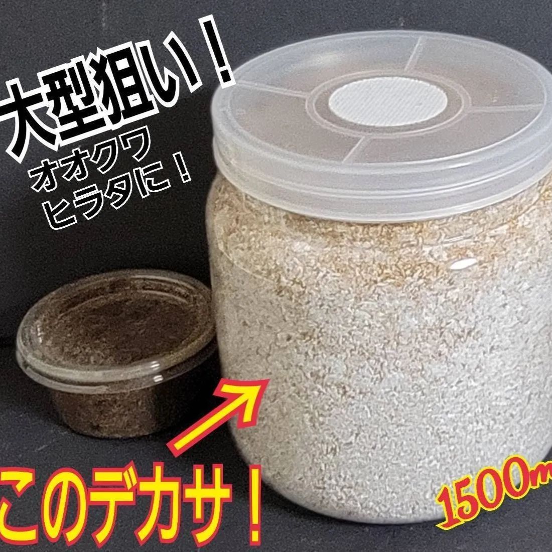 特大サイズ1500ml ヒマラヤひらたけ菌糸ボトル☆3本セット